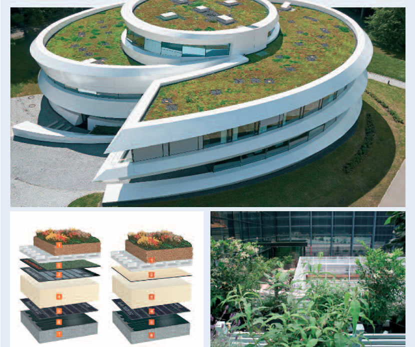 Acoperis verde Bauder